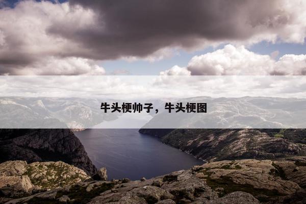 牛头梗帅子，牛头梗图
