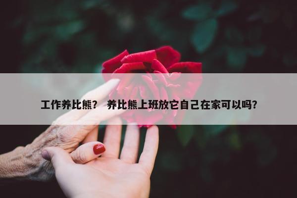 工作养比熊？ 养比熊上班放它自己在家可以吗？