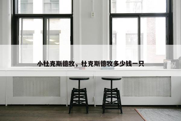 小杜克斯德牧，杜克斯德牧多少钱一只