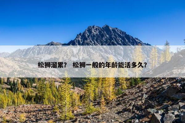 松狮溜累？ 松狮一般的年龄能活多久？