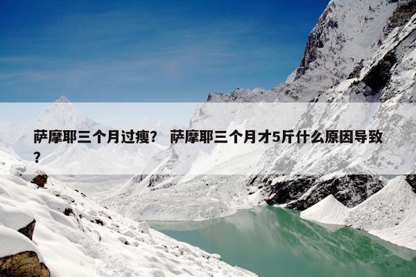 萨摩耶三个月过瘦？ 萨摩耶三个月才5斤什么原因导致？