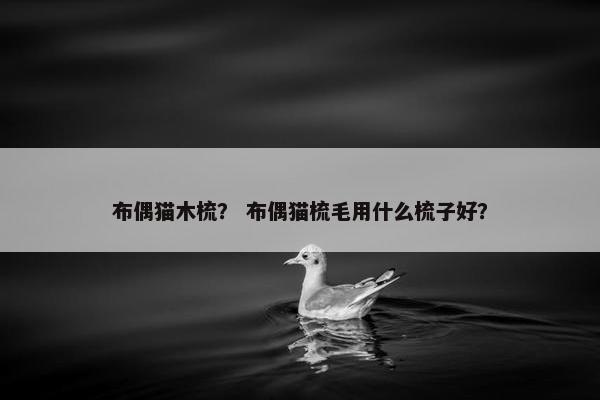 布偶猫木梳？ 布偶猫梳毛用什么梳子好？
