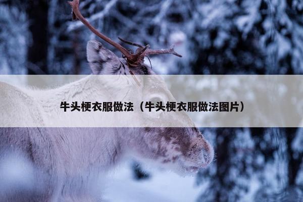 牛头梗衣服做法（牛头梗衣服做法图片）