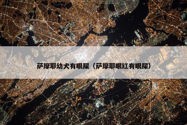萨摩耶幼犬有眼屎（萨摩耶眼红有眼屎）