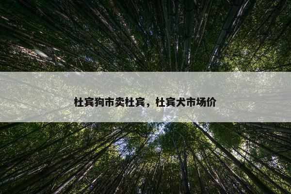 杜宾狗市卖杜宾，杜宾犬市场价