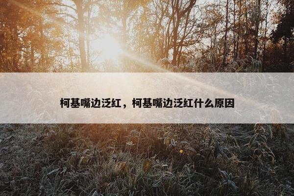 柯基嘴边泛红，柯基嘴边泛红什么原因
