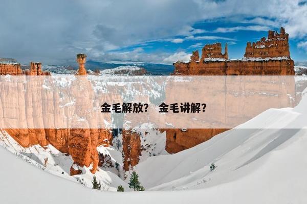 金毛解放？ 金毛讲解？