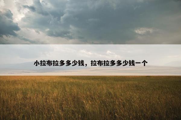 小拉布拉多多少钱，拉布拉多多少钱一个