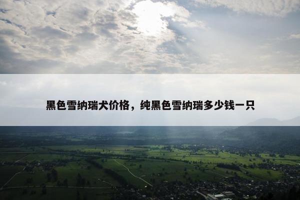 黑色雪纳瑞犬价格，纯黑色雪纳瑞多少钱一只
