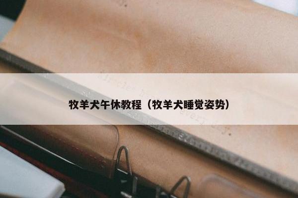 牧羊犬午休教程（牧羊犬睡觉姿势）