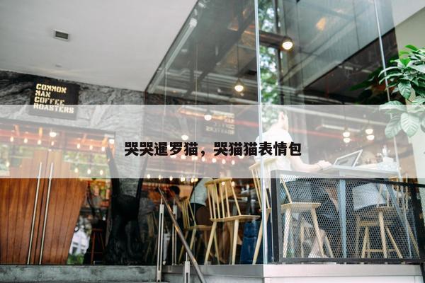 哭哭暹罗猫，哭猫猫表情包