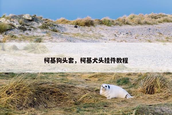 柯基狗头套，柯基犬头挂件教程