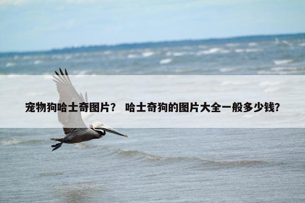 宠物狗哈士奇图片？ 哈士奇狗的图片大全一般多少钱？
