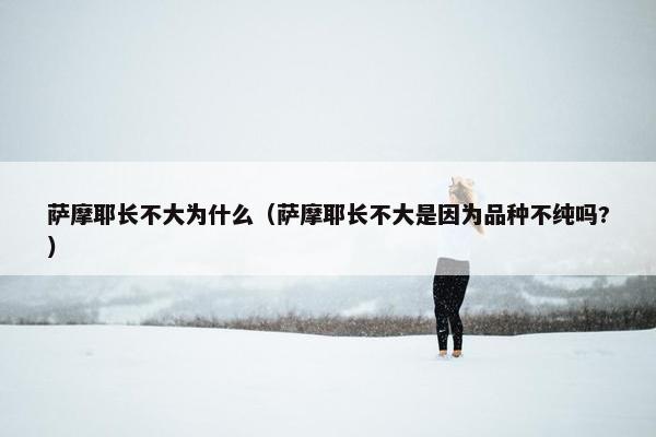 萨摩耶长不大为什么（萨摩耶长不大是因为品种不纯吗?）