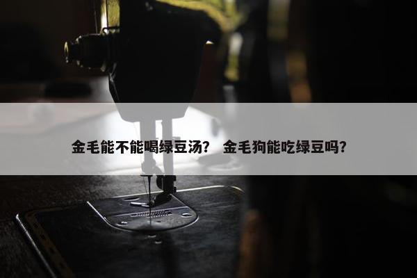 金毛能不能喝绿豆汤？ 金毛狗能吃绿豆吗？