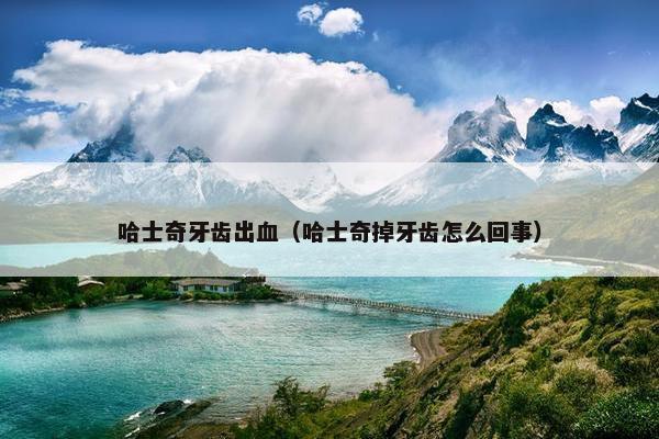 哈士奇牙齿出血（哈士奇掉牙齿怎么回事）