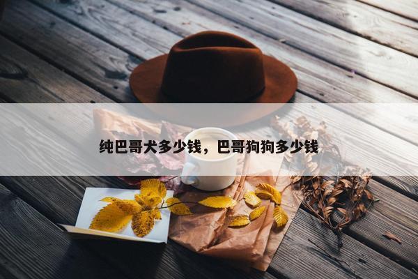 纯巴哥犬多少钱，巴哥狗狗多少钱