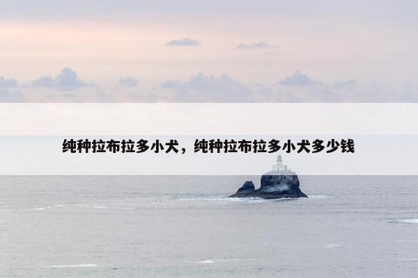 纯种拉布拉多小犬，纯种拉布拉多小犬多少钱