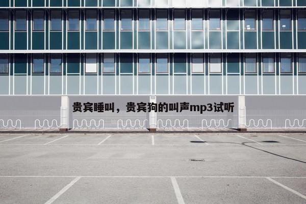 贵宾睡叫，贵宾狗的叫声mp3试听
