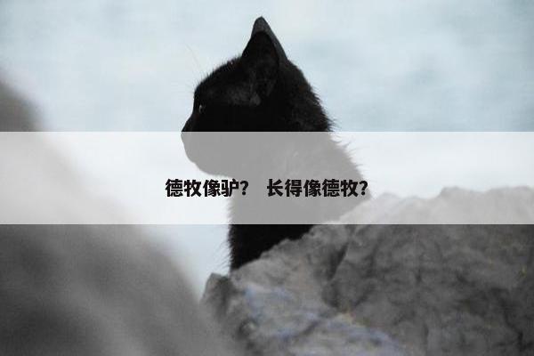 德牧像驴？ 长得像德牧？