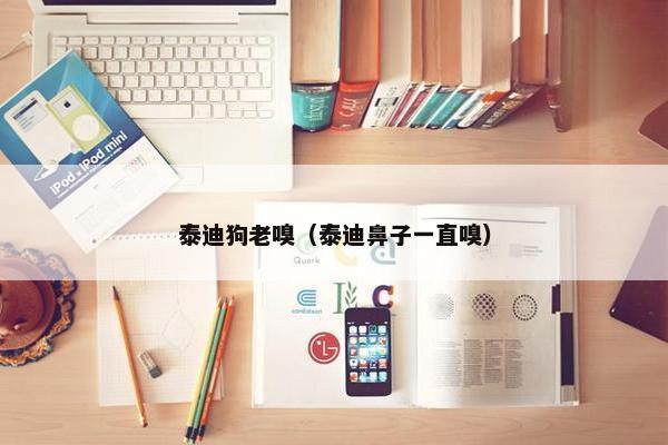 泰迪狗老嗅（泰迪鼻子一直嗅）