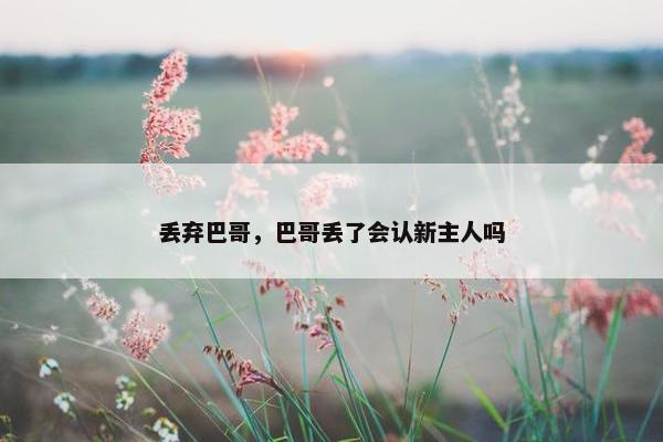丢弃巴哥，巴哥丢了会认新主人吗