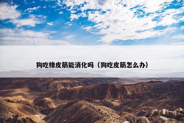狗吃橡皮筋能消化吗（狗吃皮筋怎么办）
