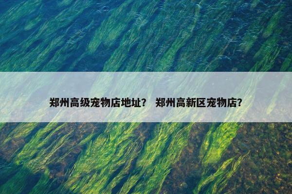 郑州高级宠物店地址？ 郑州高新区宠物店？