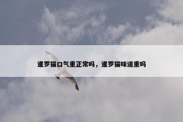 暹罗猫口气重正常吗，暹罗猫味道重吗