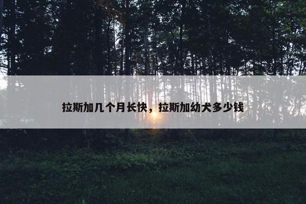 拉斯加几个月长快，拉斯加幼犬多少钱