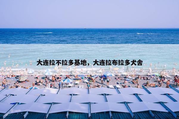 大连拉不拉多基地，大连拉布拉多犬舍