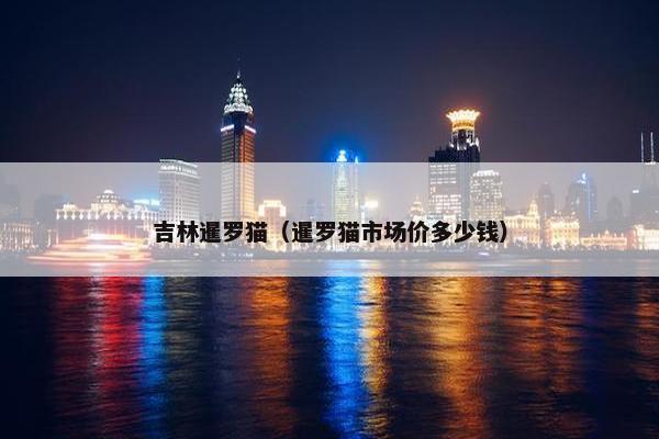 吉林暹罗猫（暹罗猫市场价多少钱）