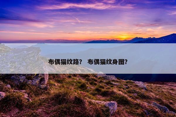 布偶猫纹路？ 布偶猫纹身图？