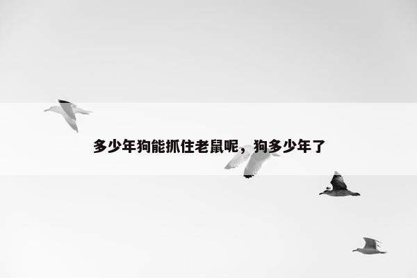 多少年狗能抓住老鼠呢，狗多少年了