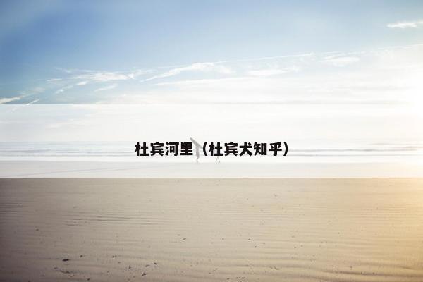 杜宾河里（杜宾犬知乎）
