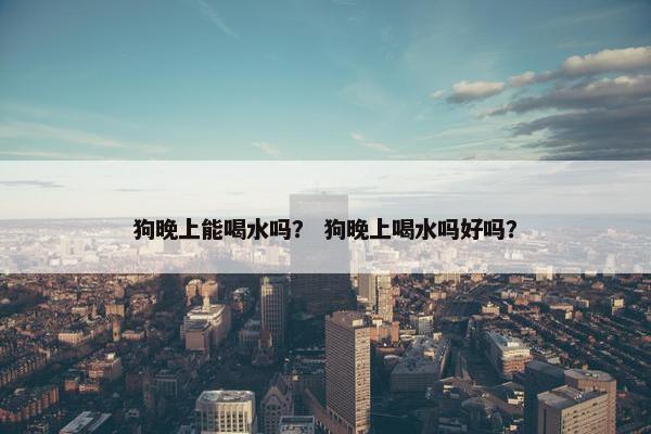 狗晚上能喝水吗？ 狗晚上喝水吗好吗？