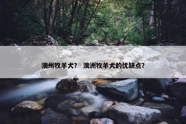 澳州牧羊犬？ 澳洲牧羊犬的优缺点？