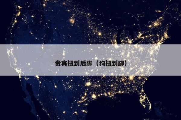 贵宾扭到后脚（狗扭到脚）