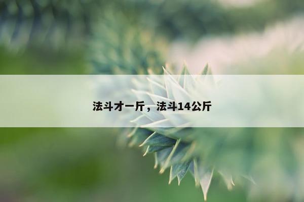 法斗才一斤，法斗14公斤