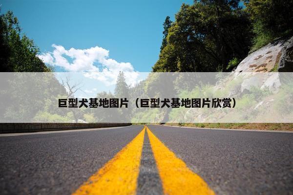 巨型犬基地图片（巨型犬基地图片欣赏）