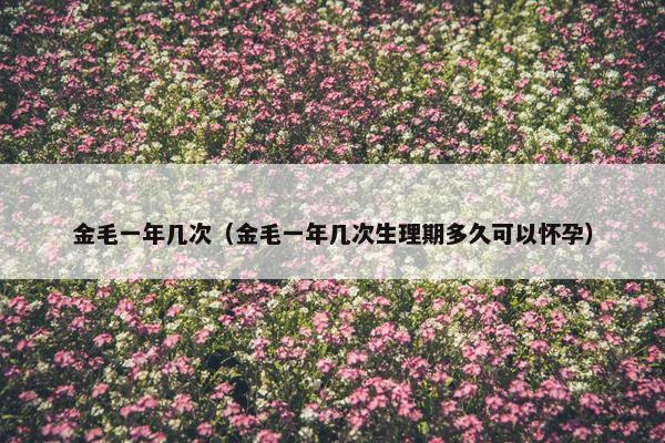 金毛一年几次（金毛一年几次生理期多久可以怀孕）