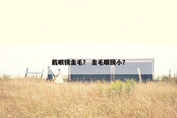 戴眼镜金毛？ 金毛眼镜小？