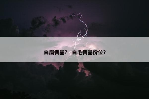 白眉柯基？ 白毛柯基价位？