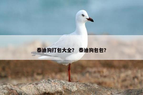 泰迪狗打包大全？ 泰迪狗包包？