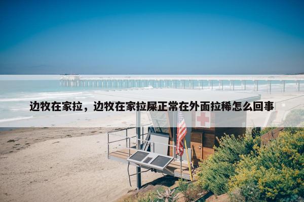 边牧在家拉，边牧在家拉屎正常在外面拉稀怎么回事