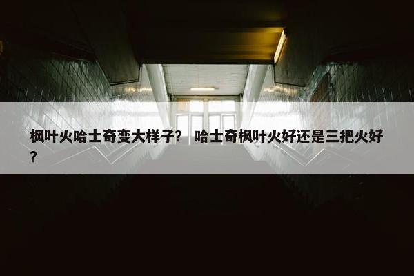 枫叶火哈士奇变大样子？ 哈士奇枫叶火好还是三把火好？