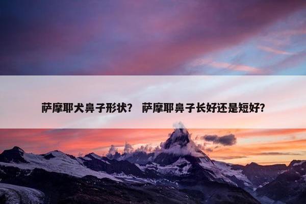 萨摩耶犬鼻子形状？ 萨摩耶鼻子长好还是短好？