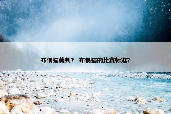 布偶猫裁判？ 布偶猫的比赛标准？