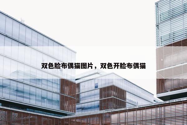 双色脸布偶猫图片，双色开脸布偶猫