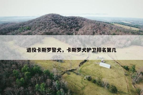 退役卡斯罗警犬，卡斯罗犬护卫排名第几